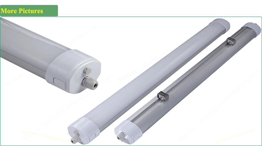 High Power LED Outdoor Light, 4FT 100W LED Bulb, LED Tri Proof Light, LED Linear Light